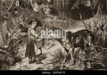 engraving , The little red riding hood and the wolf in the wood Stock Photo  - Alamy