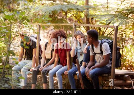 Five millennial friends sitting on a bridge in a forest talking during a hike, three quarter length Stock Photo
