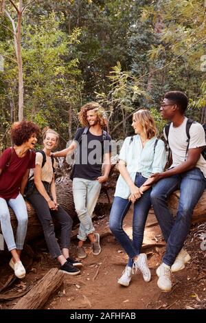 Young adult friends hiking in a forest resting on a fallen tree, full length, vertical Stock Photo