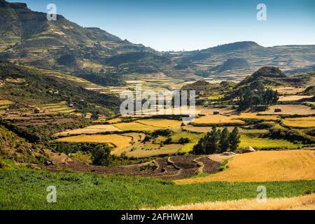 Ethiopia, Tigray, Debab, terraced agricultural fields in spectacular landscape at harvest time Stock Photo