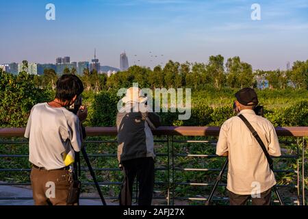 SHENZHEN, CHINA - OCTOBER 30: Photographers bird watching trying to capture photos of wildlife in Shenzehn Bay Park on October 30, 2018 in Shenzhen Stock Photo