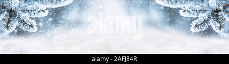 Pine tree branches covered frost in snowy atmosphere. Winter panoramic banner with snowy pine branches Stock Photo