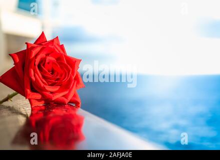 Red rose on a balcony of a cruise ship at sunset. Stock Photo