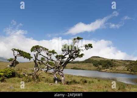 Lagoa do Capitao, Pico Island, Azores, Portugal Stock Photo