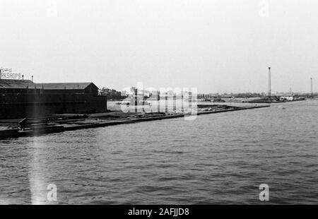 Blick auf die Hotels und Hafengebäude im Hafen von Port Said, Ägypten, 1955. View to the hotels and port authority buildings at Port Said, Egypt, 1955. Stock Photo