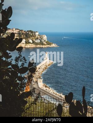 Port of Nice view through the cactuses. Lighthouse in the south coast of France. Azur sea Stock Photo
