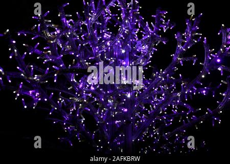 Part of holiday Christmas tree decorating with violet and white flashing lights at night. Detail of New Year decorations, string rice lights bulbs. Stock Photo