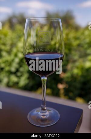 A glass of Malbec is shown in the vineyards of Bodega Roberto Bonfanti in Lujan de Cuyo, Argentina. Stock Photo