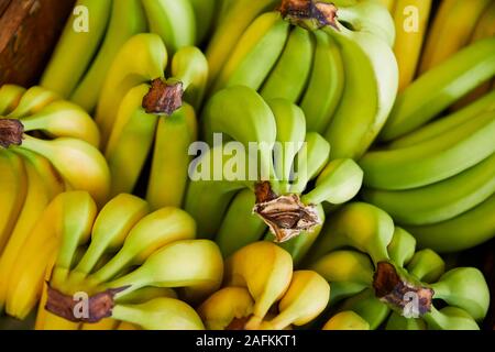 Full Frame Shot Of Fresh Bananas Displayed In Organic Farm Shop Stock Photo