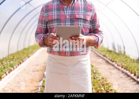 Close Up Of Mature Man Working In Garden Center Greenhouse With Digital Tablet Checking Plants Stock Photo