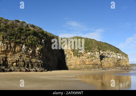 Panorama of the enoramous rainforest topped sea cliffs and beautiful wide beach of the remote Maori owned Cathedral Caves on the South island of New Z Stock Photo