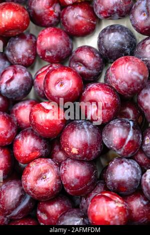 Macro Photo food fruit plums. Texture background of fresh blue plums. Image fruit product blue plums Stock Photo