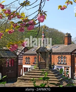 Lymm Cross and  Spring blossom, Warrington, Cheshire, England, UK Stock Photo