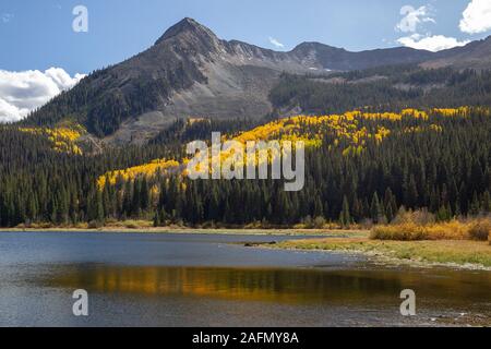 Kebler Pass a high mountain pass that starts in Crested Butte Colorado is a scenic fall color drive featuring golden aspens. Lost Lake Campground. Stock Photo