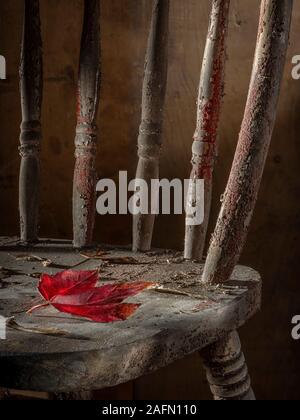 Red maple leaf on worn weathered wooden chair Stock Photo