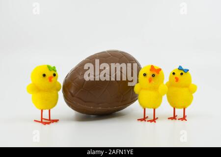 Three cute yellow chicks made of foam standing by the side of a chocolate Easter egg on a plain white background Stock Photo