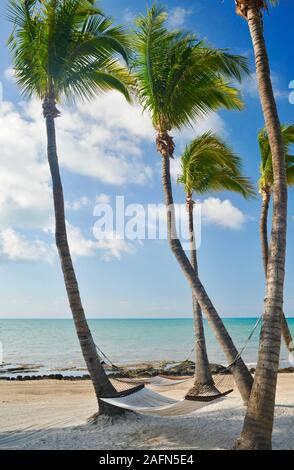 Inviting hammock swinging between coconut palm trees overlooking beach and ocean, on tropical Key West, Florida, USA. U.S. National Historic Landmark. Stock Photo