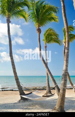 Inviting hammock swinging between coconut palm trees overlooking beach and ocean, on tropical Key West, Florida, USA. U.S. National Historic Landmark. Stock Photo