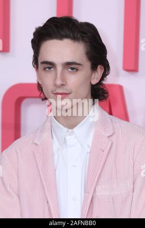 Timothée Chalamet Also Misses the SoHo Topshop Store