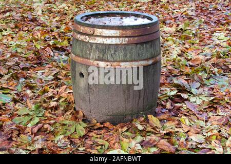 Old wooden barrel surrounded by chestnut leaves Stock Photo