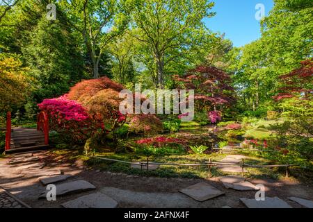 Japanese garden in springtime, complete with wooden red bridge, pagode and several ornaments along a beautiful pond in The Hague, Netherlands Stock Photo