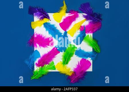 Colorful pattern made of feathers white sheet of paper on classic blue color background. MInimal boho style color concept. Flat lay, top view, copy space. Classic Blue color 2020 concept. Stock Photo