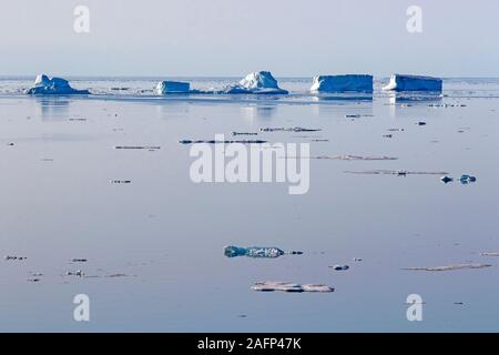Sea ice off the east coast of Greenland Stock Photo