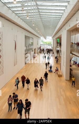 The Art Institute of Chicago museum in Illinois Stock Photo