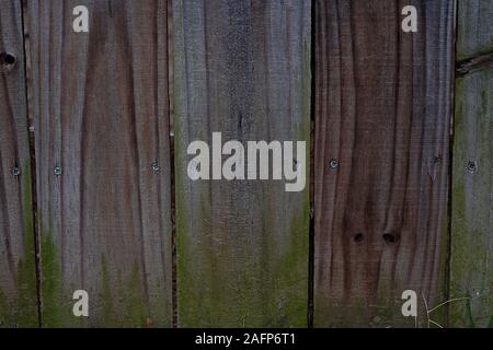 Here are some wooden vertical planks with some moss growing up from the bottom Stock Photo