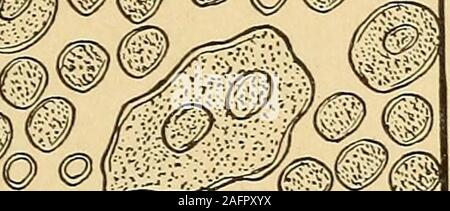 . Urinary analysis and diagnosis by microscopical and chemical examination. 9 VMJ , m§0§m ^ :^^ IRwws. PE Stock Photo