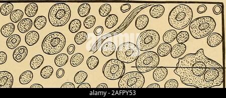 . Urinary analysis and diagnosis by microscopical and chemical examination. m DP CT MB. 9 VMJ , m§0§m ^ :^^ IRwws Stock Photo