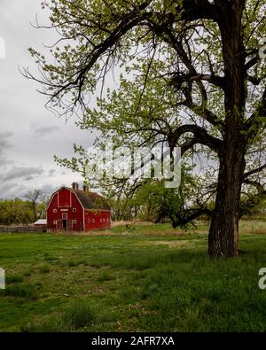 MAY 21 2019, USA -  Red Barn along Route 2 near Fort Benton, Montana Stock Photo