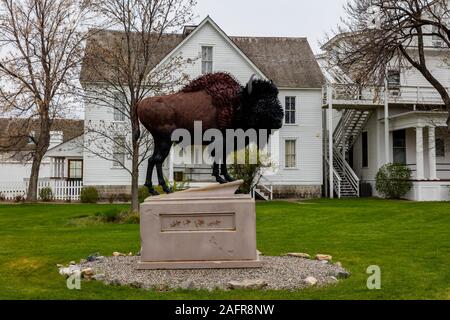 MAY 23, 2019, THREE FORKS, MT, USA - Buffalo in front of Sacajawea Hotel, Three Forks, Montana honors Sacajawea and the Lewis and Clark Expedition Stock Photo