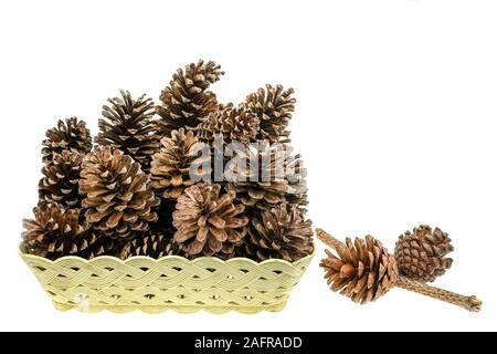 Group of pine cone dry on basket at white background Stock Photo