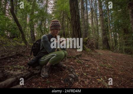 A female hiker communing with nature, holding a salamander and examining it in Marin County, California. Stock Photo