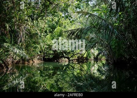 A view of Cigenter river in Handeleum Island, a part of Ujung Kulon National Park, Indonesia. Stock Photo