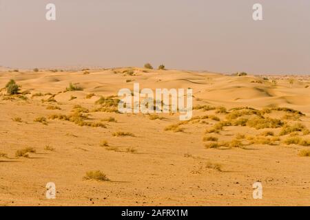 THAR DESERT Rajasthan, India. February Stock Photo