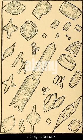 . Urinary analysis and diagnosis by microscopical and chemical examination. Fig. 22.—Uric-acid Coxcretioxs (X 500). culi or stones, which form the largest number of renal stones, being per-haps seventy per cent of all calculi passed. Quite frequently small, irregular plates of a light or dark yellow colorare seen under the microscope; the sediment in which these are foundmay be of a mucous or granular character, which gives no indication ofcontaining any uric acid. Different varieties of uric acid with calcium-oxalate crystals and occasionally a varying amount of urates are not in- 74 UBINABY Stock Photo