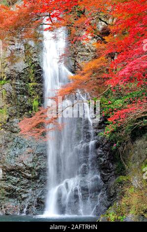 Mino Waterfall At The Mino Quasi National Park Osaka Japan Stock Photo Alamy