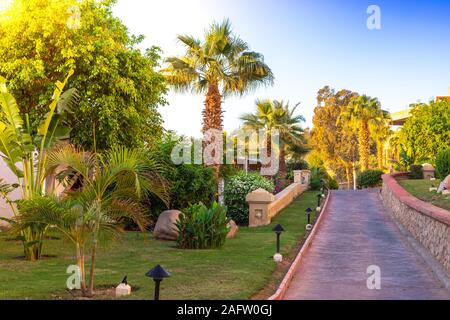 Travel to Paradise on earth. Alley among the lush greenery at sunset. Utopian holiday resort. Equatorial landscape design of a tropical resort. Stock Photo