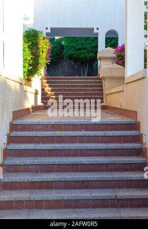 A staircase leading to the garden through an arch. Stairway to paradise. Stone steps, white walls and sunlight falling on the flowering bushes. Stock Photo