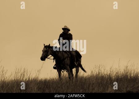 SEPT 27, 2019, CUSTER STATE PARK, SOUTH DAKOTA, USA - Cowboys at Annual Custer State Park Buffalo Roundup Stock Photo