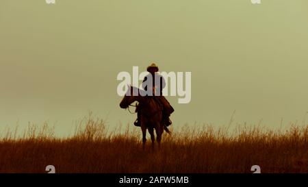 SEPT 27, 2019, CUSTER STATE PARK, SOUTH DAKOTA, USA - Cowboy at Annual Custer State Park Buffalo Roundup Stock Photo