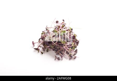Organic plant microgreens for making detox salads on white Stock Photo