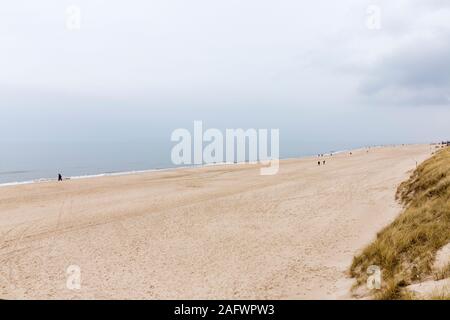 Strand, Spaziergaenger, Meer, Nebel, Wenningstedt, Sylt Stock Photo