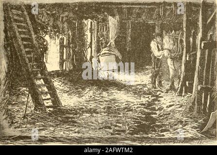 . A family flight around home. one in which she was wellversed, while he had not even studied its rudiments. Mr. Martin, the father of Alice, owned a large farm, and withthe help of many men, took care of it himself. As the springopened, Hubert spent most of the time over at Alices, wherethe attractions for the two children were greater than at theprofessor.^. Hubert loved animals, and he delighted in the long barn, wherethe long row of cows and a yoke of oxen were at home in theirstalls, six of them, sticking out their great friendly heads, and AN ADVENTURE. 80 giving steamy puffs of breath t Stock Photo