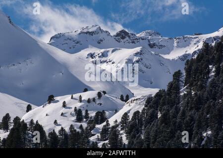 View over a Swiss pine Pinus cembra forest and mountain peaks in the Austrian Alps. Kaunertal, Tyrol. Stock Photo