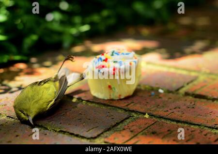 Small green bird laying on the ground near a cupcake with greenery on the blurry background Stock Photo