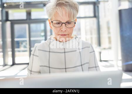 Older businesswoman working on PC or doing internet research in the office Stock Photo