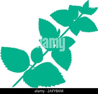 Melissa flat plant vector icon isolated on white Stock Vector